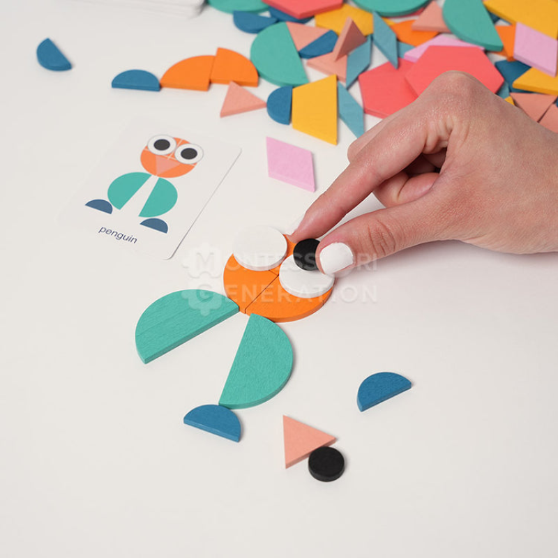 MONTESSORI SHAPE PUZZLE