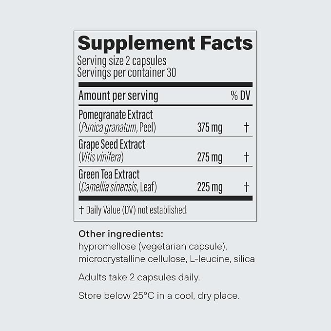PENDULUM POLYPHENOL BOOSTER, ANTIOXIDANT FROM SUPERFOODS, BENEFICIAL PLANT COMPOUNDS FOR GOOD HEALTH, HELPS BOOST AKKERMANSIA MUCINIPHILA FOR MEN & WOMEN (60 CAPSULES, 1-PACK)