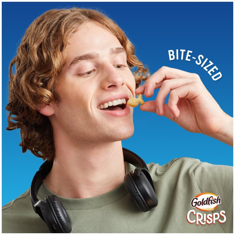 GOLDFISH CRISPS SALT VINEGAR FLAVORED BAKED CHIP CRACKERS 6.25 OZ BAG FOR AMERIKASEPETIM