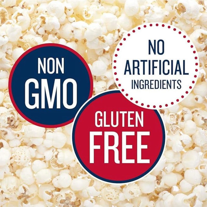 SKINNYPOP GLUTEN FREE DAIRY FREE WHITE CHEDDAR POPCORN SNACK PACKS 6 COUNT