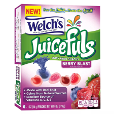 WELCH S JUICEFULS BERRY BLAST JUICY FRUIT SNACKS PACK OF 14