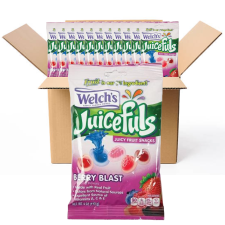WELCHS JUICEFULS BERRY BLAST SNACKS 4 OZ PACK OF 12