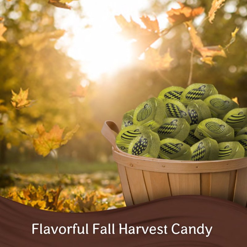 DOVE PROMISES DARK CHOCOLATE FALL HALLOWEEN CANDY 8.87 OZ