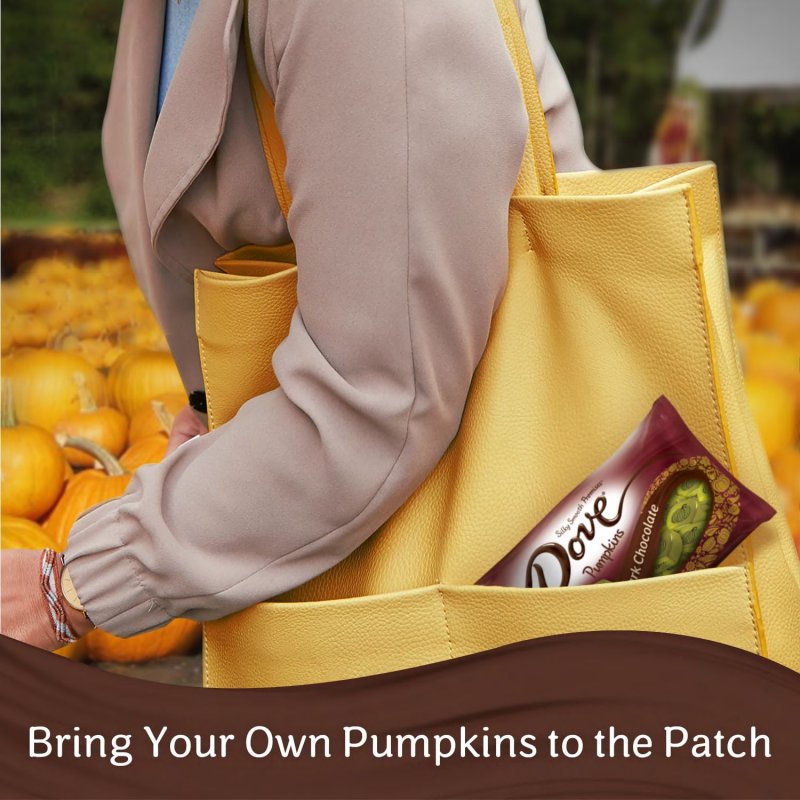 DOVE PROMISES DARK CHOCOLATE FALL HALLOWEEN CANDY 8.87 OZ
