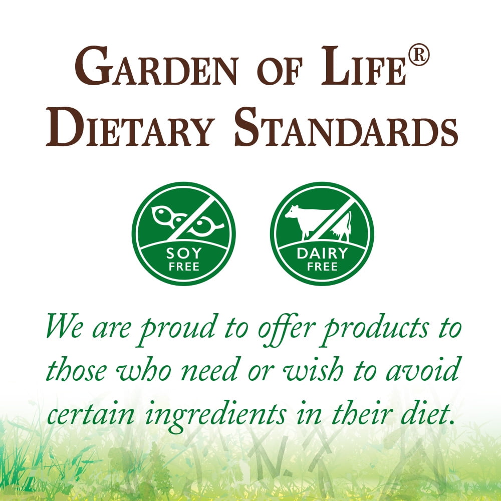 GARDEN OF LIFE RAW PROTEIN GREENS CHOCOLATE 20G PROTEIN 1.4LB 22.0OZ