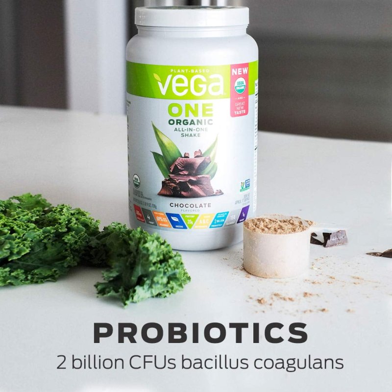 VEGA ONE ORGANIC CHOCOLATE PLANT PROTEIN POWDER - 13.2 OZ