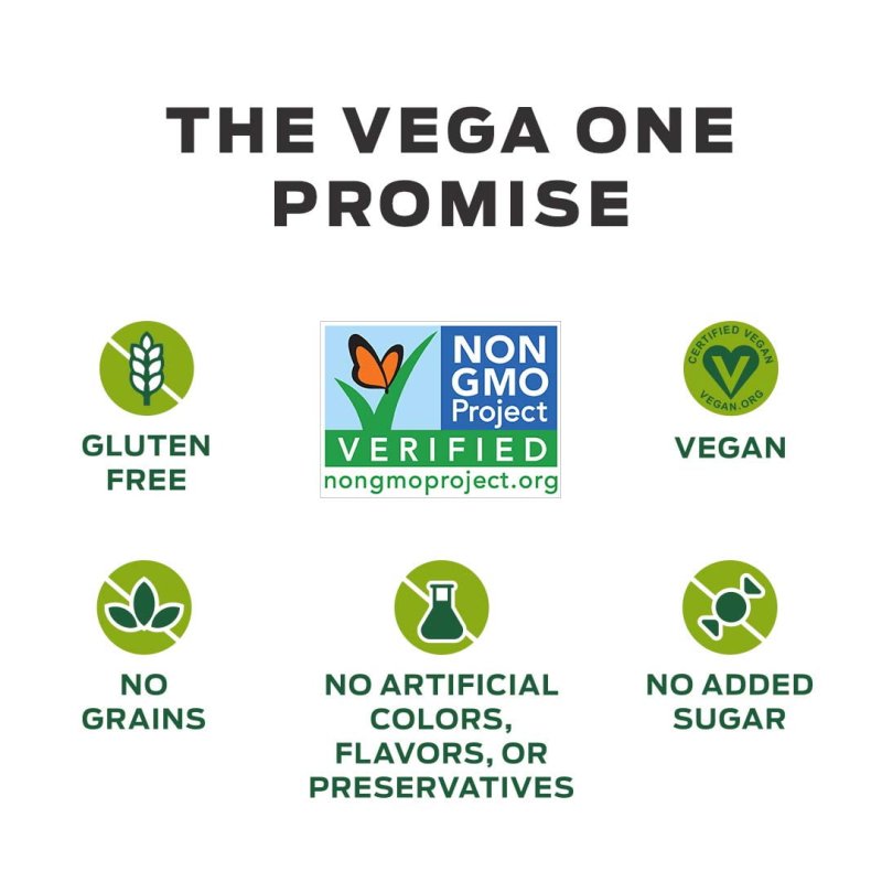 VEGA ONE ORGANIC CHOCOLATE PLANT PROTEIN POWDER - 13.2 OZ