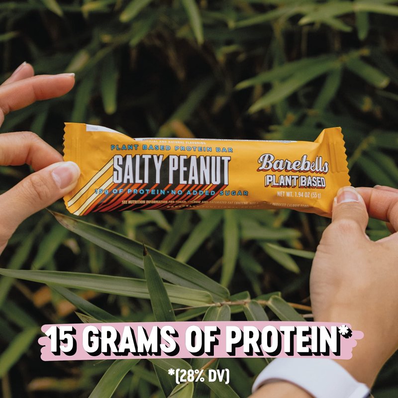 BAREBELLS VEGAN PROTEIN BAR AIF4 SALTY PEANUT 12 COUNT PLANT BASED HIGH PROTEIN SNACKS 15G CHOCOLATE 1G SUGAR