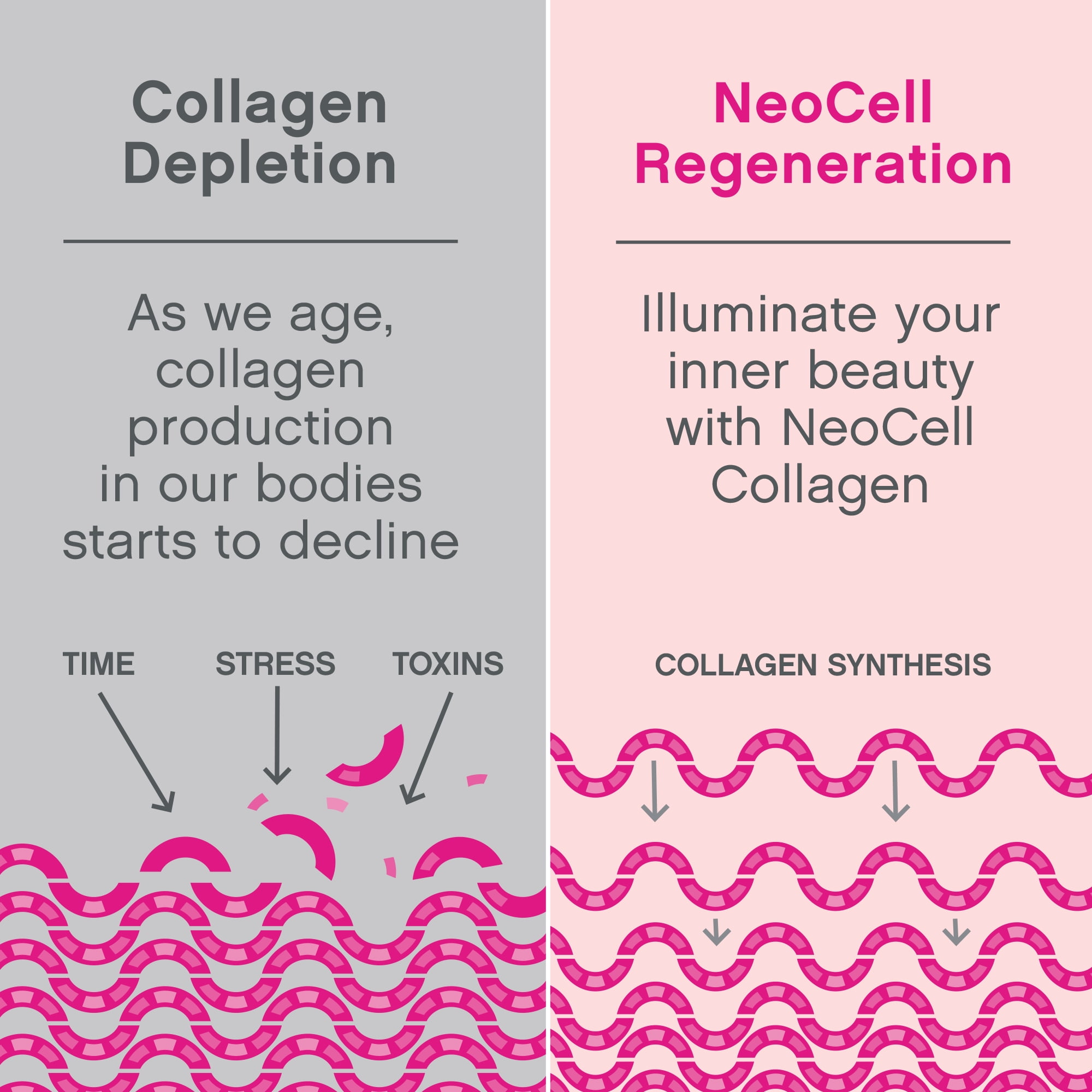 NEOCELL SUPER COLLAGEN POWDER 7OZ UNFLAVORED HEALTHY HAIR SKIN NAILS