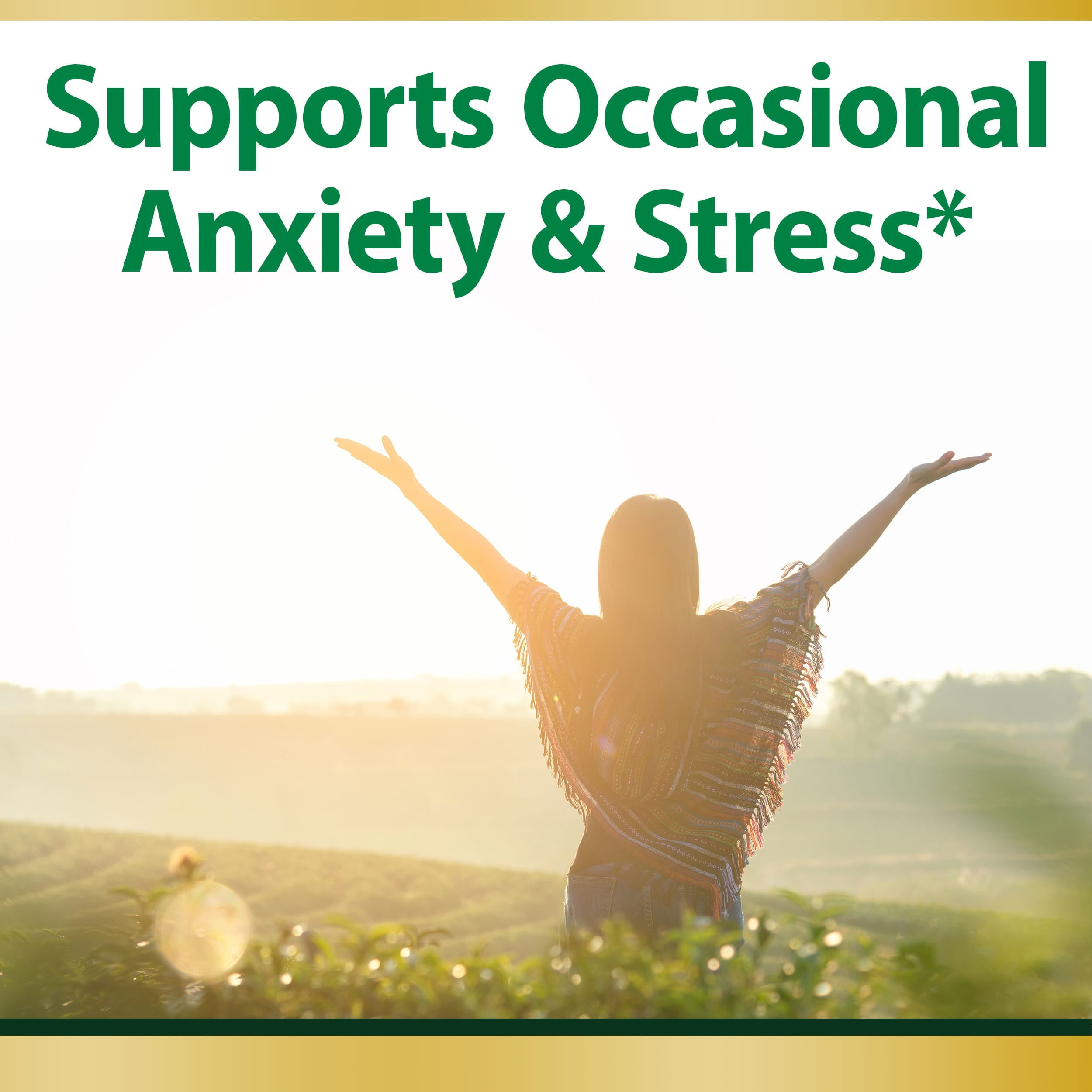 NATURE'S BOUNTY ASHWAGANDHA KSM-66 ANXIETY STRESS RELIEF SUPPLEMENT TABLETS 90 CT.