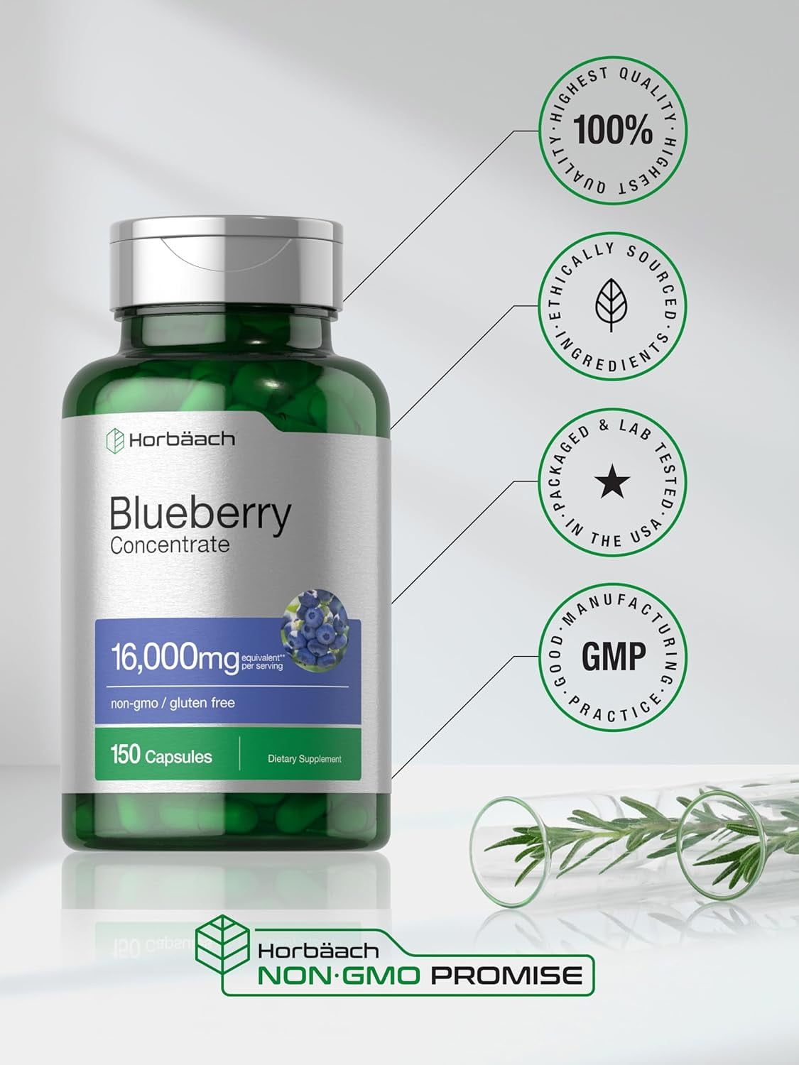 HORBAACH  BLUEBERRY EXTRACT 16000MG 150 CAPSULES