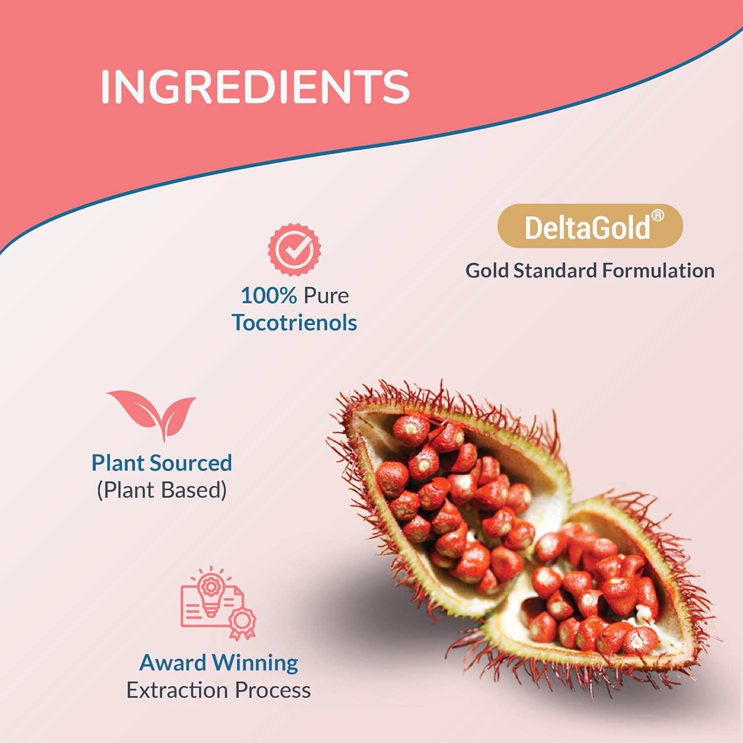 EANNATTO TOCOTRIENOLS VITAMIN E SUPPLEMENTS, IMMUNE HEALTH SUPPORT, NON-GMO, GLUTEN FREE, ANTIOXIDANT (300MG 60 SOFTGELS)