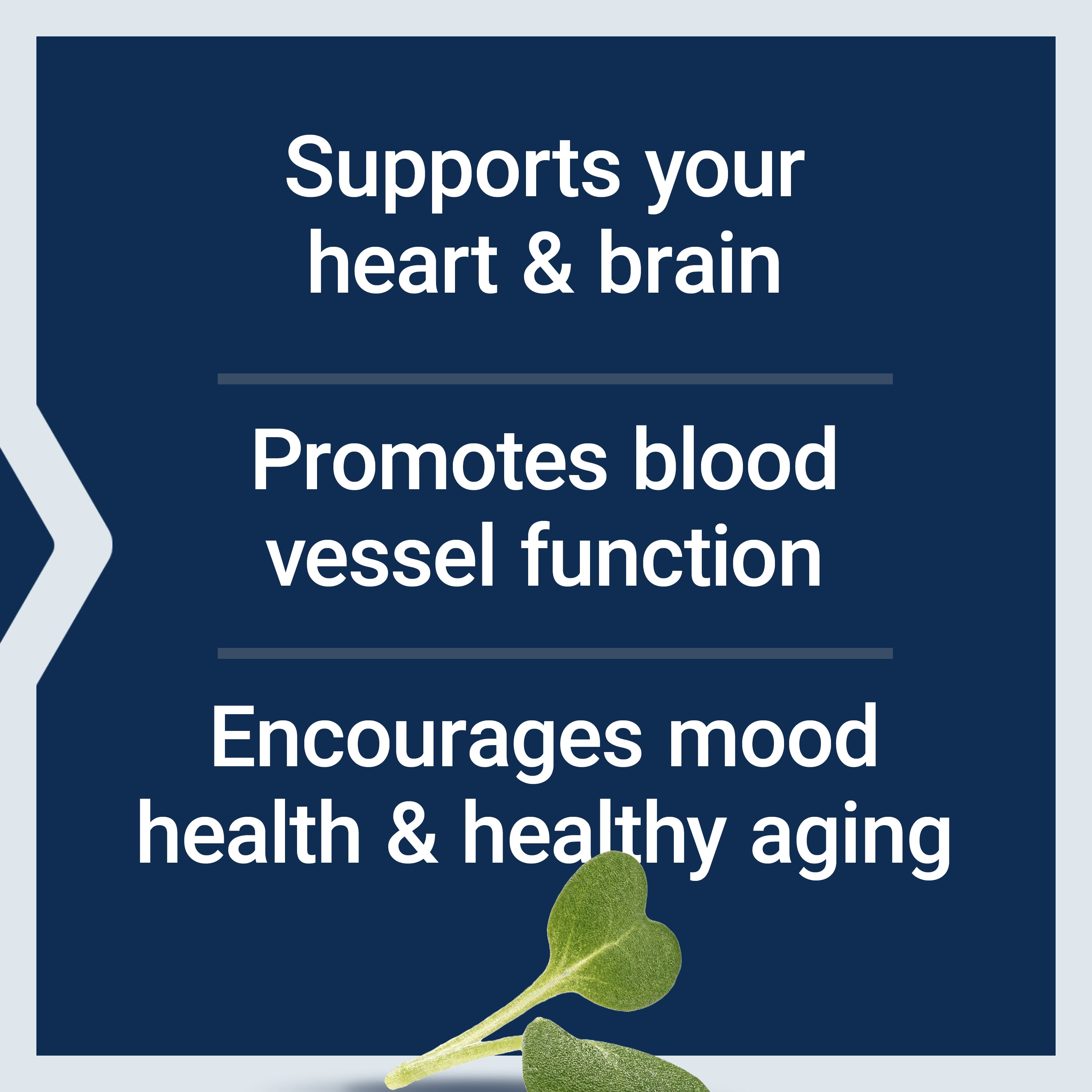 LIFE EXTENSION SUPER OMEGA-3 EPA DHA SESAME LIGNANS OLIVE EXTRACT HEART HEALTH CHOLESTEROL MANAGEMENT INFLAMMATION SUPPORT NON-GMO 60 SOFTGELS