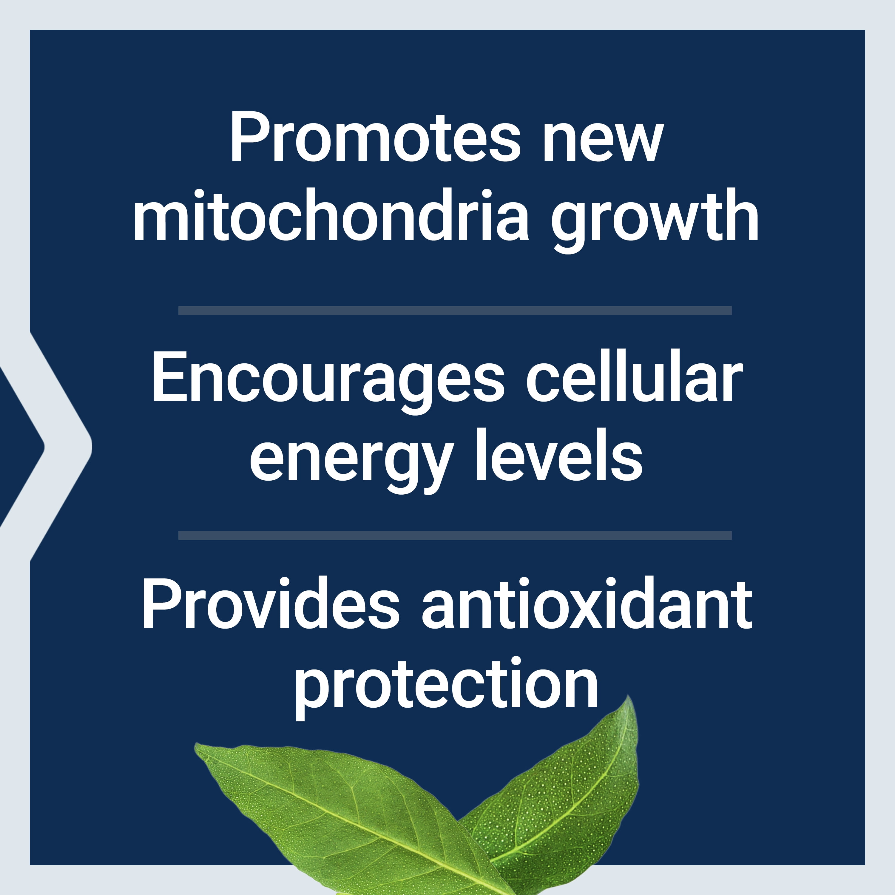 LIFE EXTENSION PQQ PYRROLOQUINOLINE QUINONE 20MG GROWTH NEW CELLULAR MITOCHONDRIA GLUTEN FREE NON GMO ONCE DAILY 30 VEGETARIAN CAPSULES