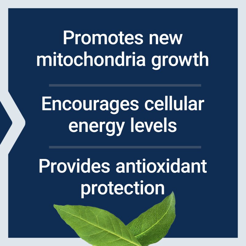 LIFE EXTENSION PQQ PYRROLOQUINOLINE QUINONE 20MG GROWTH NEW CELLULAR MITOCHONDRIA GLUTEN FREE NON GMO ONCE DAILY 30 VEGETARIAN CAPSULES