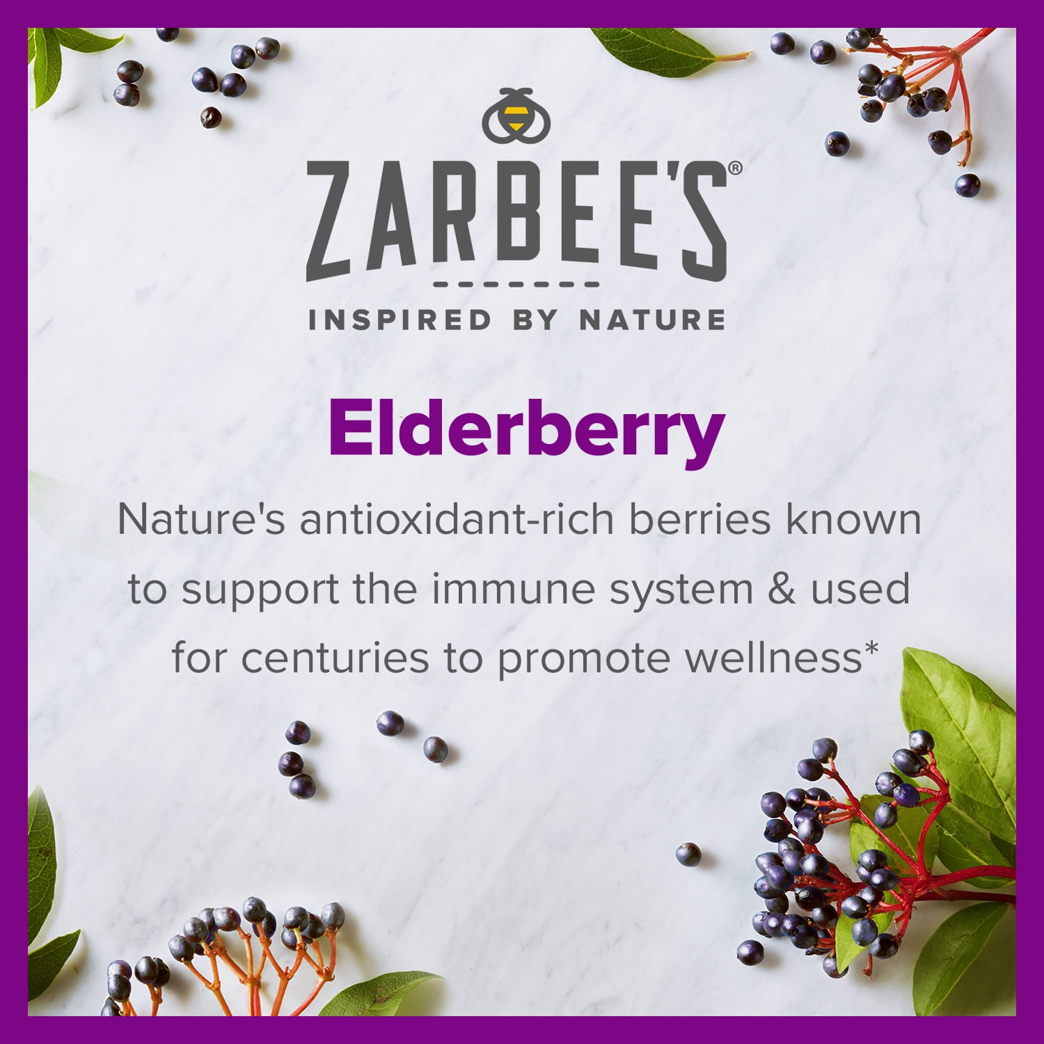 ZARBEES DAILY IMMUNE SUPPORT GUMMIES REAL ELDERBERRY 42 CT