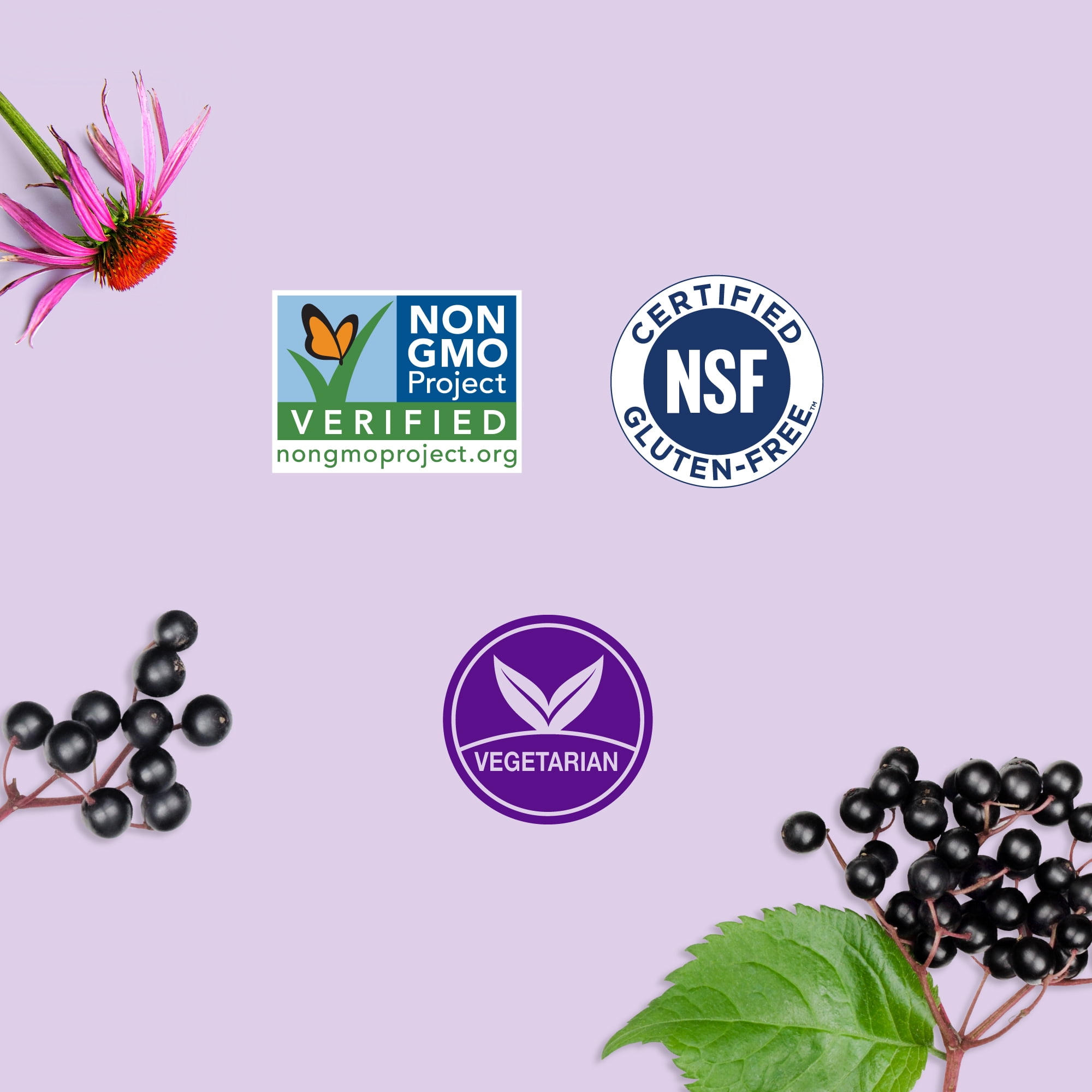 GARDEN OF LIFE DR. FORMULATED KIDS ELDERBERRY IMMUNE SUPPORT GUMMIES WITH ECHINACEA ZINC VITAMINS C D 30 SERVINGS