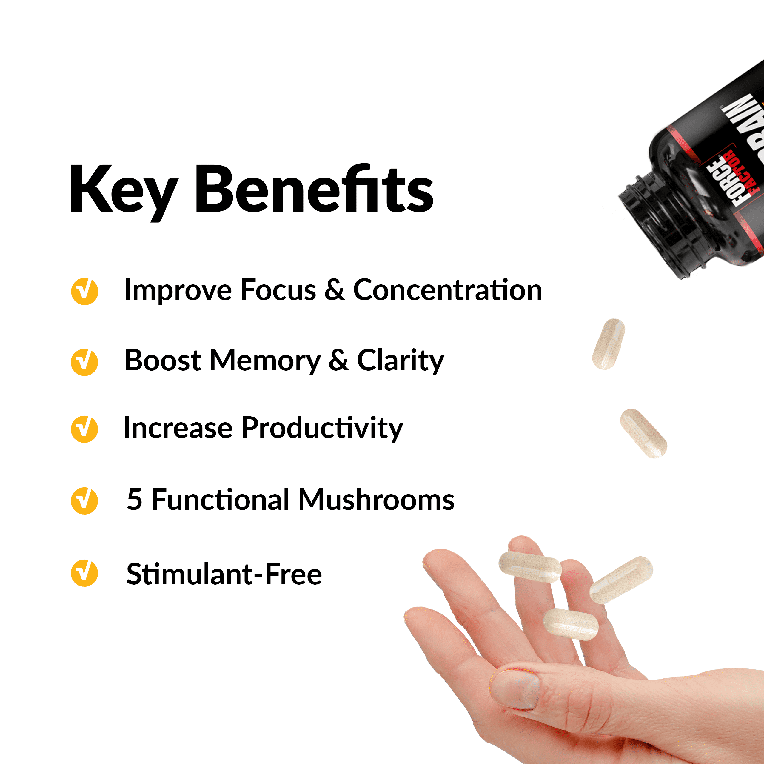 FORCE FACTOR FOREBRAIN FOCUS NOOTROPIC CAPSULES BRAIN HEALTH SUPPLEMENT 60 COUNT.