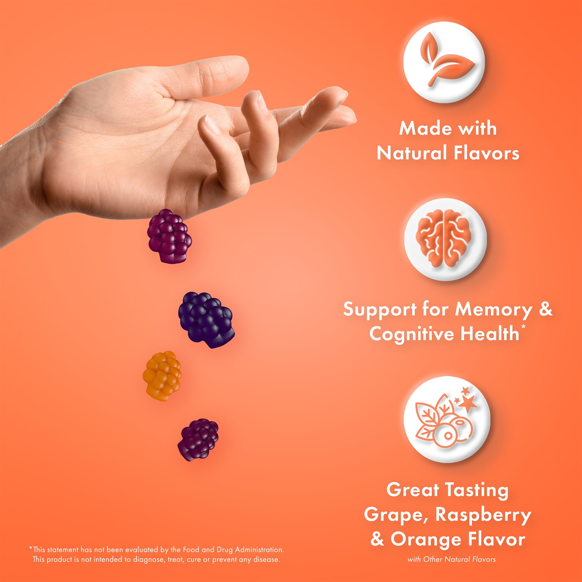 FOCUS FACTOR GUMMIES 60 COUNT MEMORY BRAIN HEALTH SUPPLEMENT HUPERZINE BACOPA MONNIERI