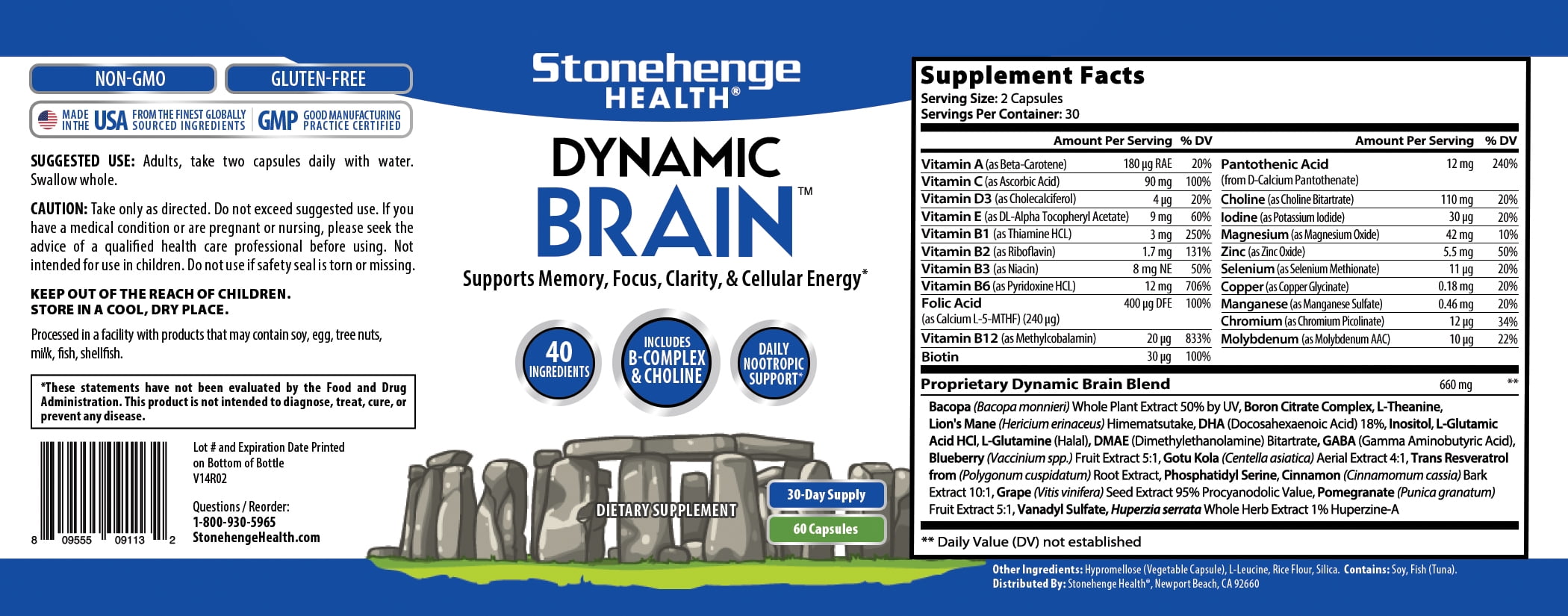 STONEHENGE HEALTH DYNAMIC BRAIN NOOTROPIC SUPPLEMENT MEMORY FOCUS LEARNING 60 CAPSULES