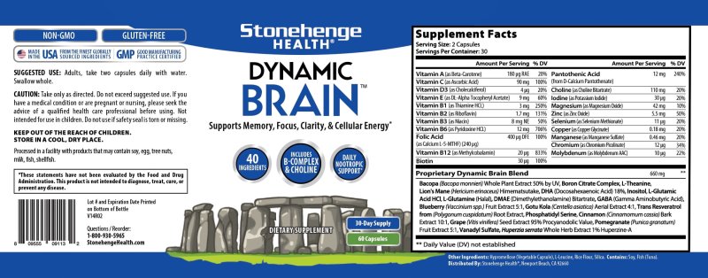 STONEHENGE HEALTH DYNAMIC BRAIN NOOTROPIC SUPPLEMENT MEMORY FOCUS LEARNING 60 CAPSULES