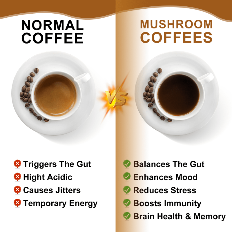 BEWORTHS MUSHROOM COFFEE POWDER SUPPLEMENTS BRAIN MEMORY FOCUS IMMUNE FUNCTION 8.8OZ