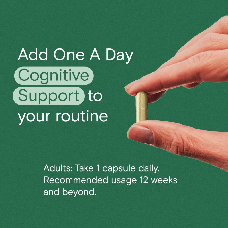 ONE A DAY COGNITIVE BRAIN SUPPLEMENT WITH BACOPA 30 CAPSULES FOR ENHANCED FOCUS AND MEMORY