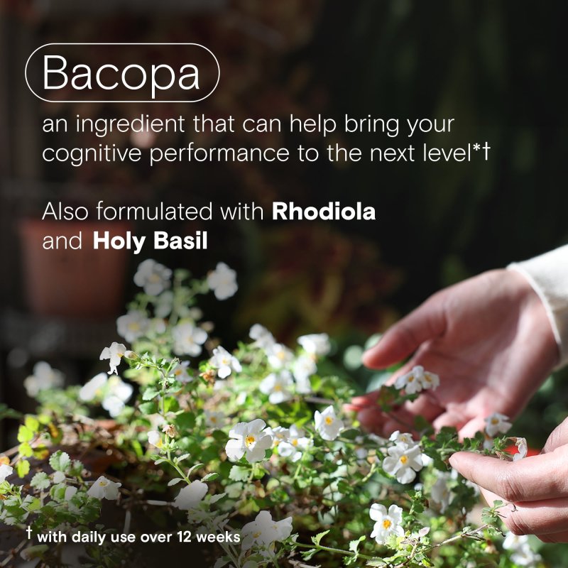 ONE A DAY COGNITIVE BRAIN SUPPLEMENT WITH BACOPA 30 CAPSULES FOR ENHANCED FOCUS AND MEMORY