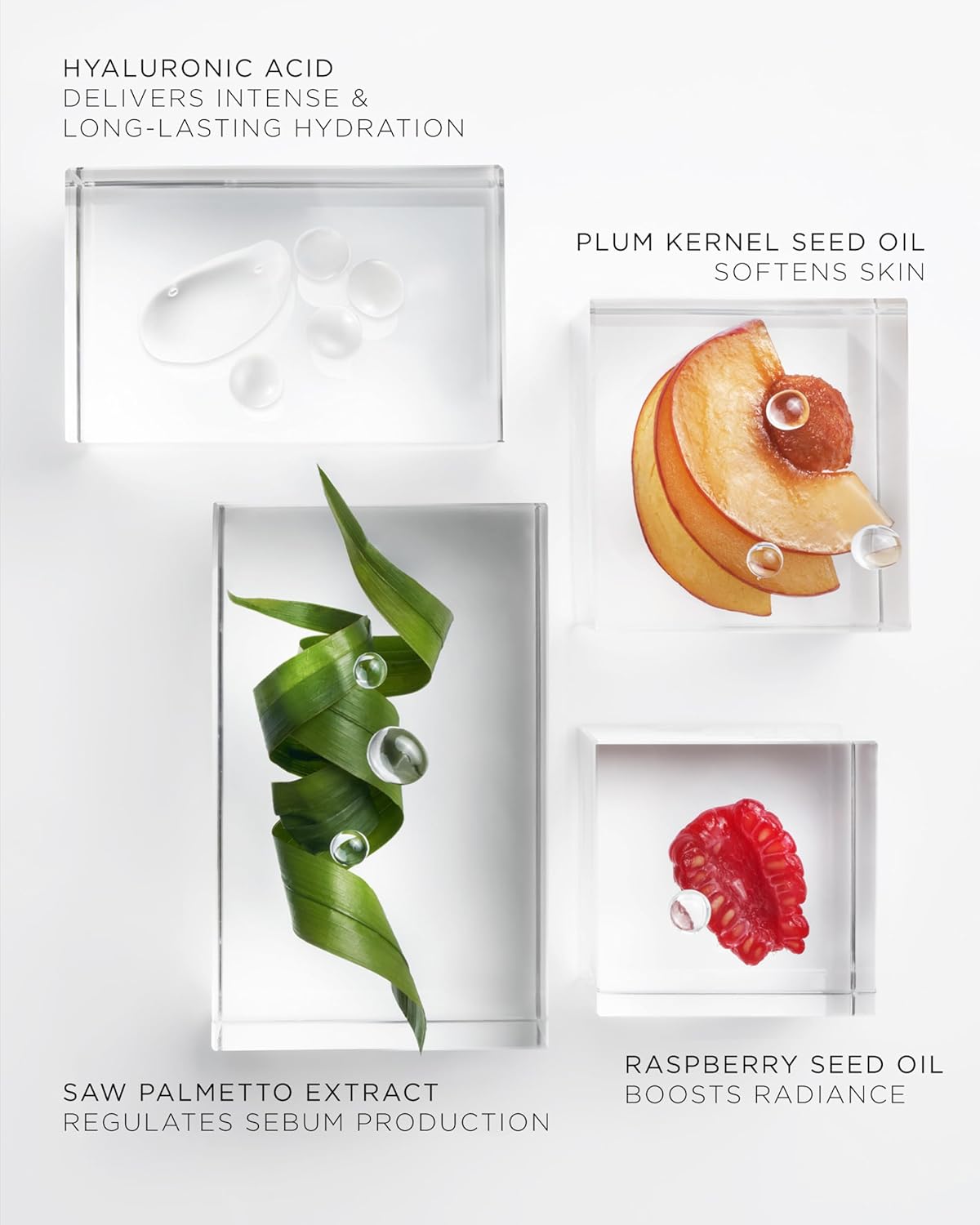 NOBLE PANACEA B0CMTYJT89 ADVANCED SKINCARE