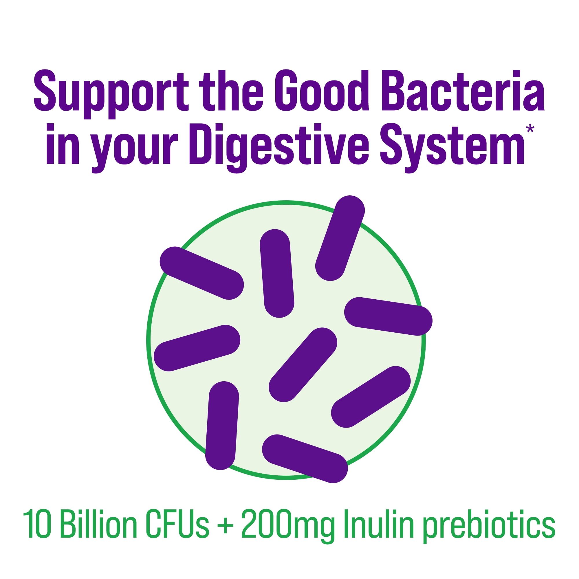 CULTURELLE DIGESTIVE HEALTH DAILY PROBIOTIC SUPPLEMENT 50 COUNT FOR GUT HEALTH BOOST