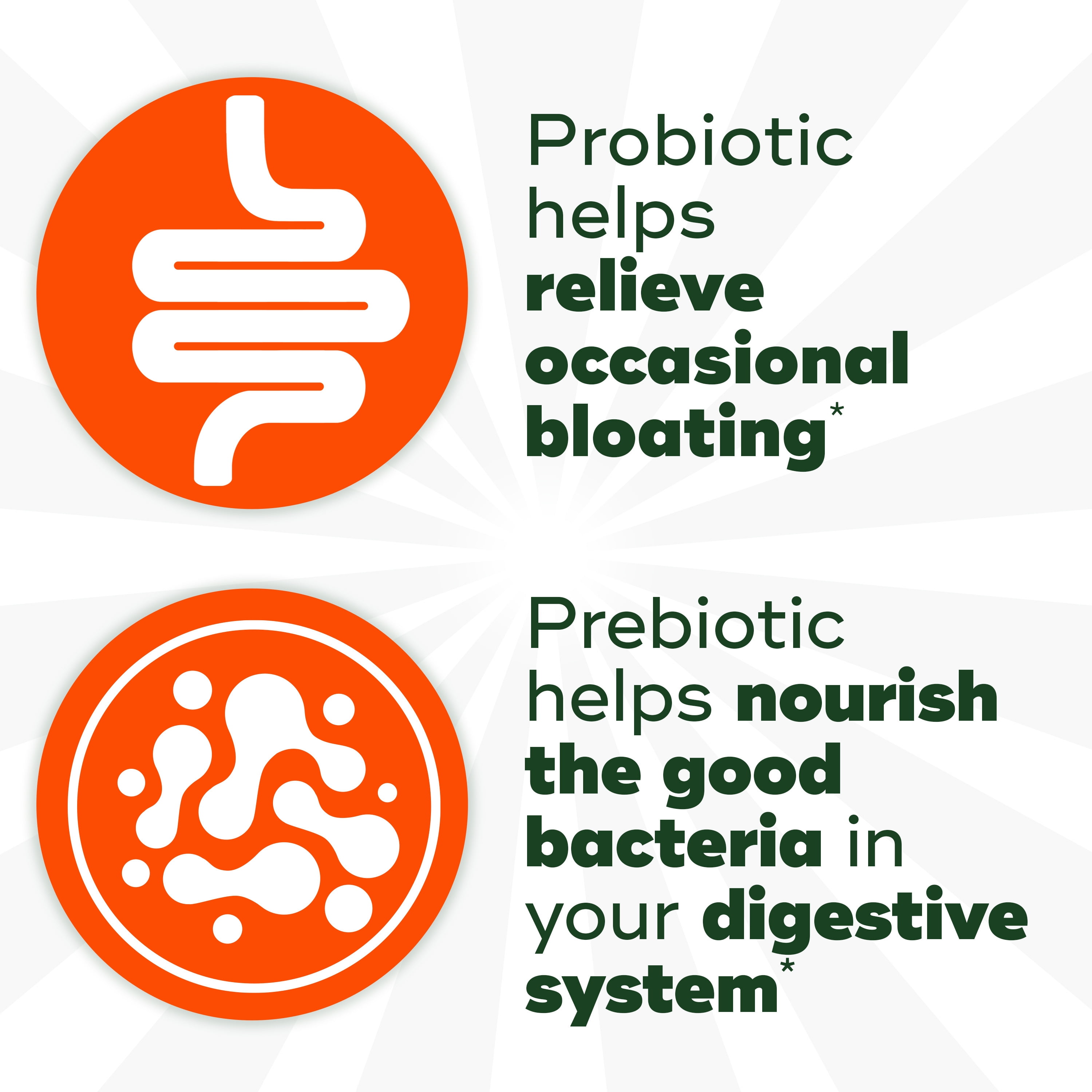 ALIGN PREBIOTIC PROBIOTIC GUMMIES NATURAL FLAVORS 60 CT