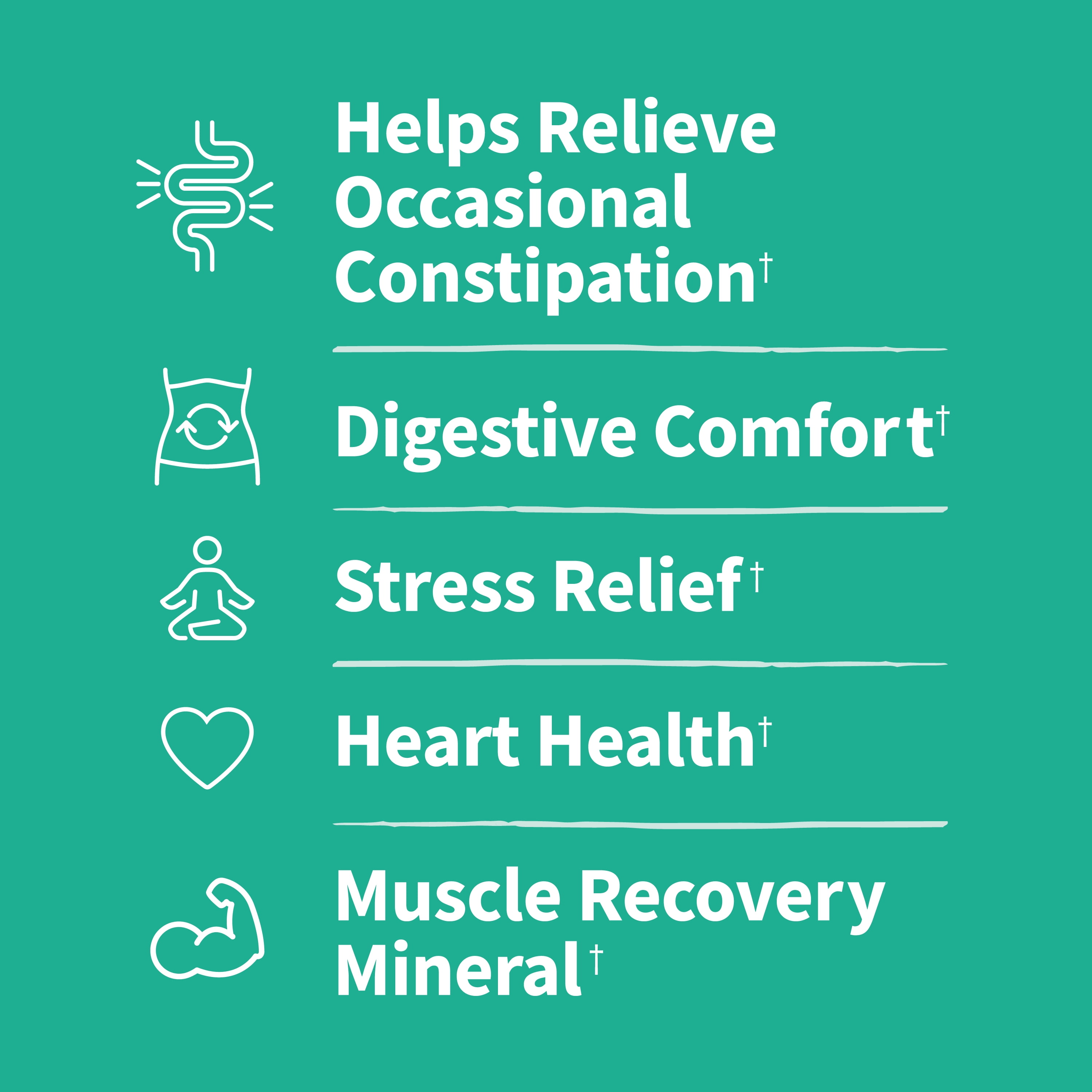 GARDEN OF LIFE DR. FORMULATED FIBER PLUS GUMMIES WITH MAGNESIUM PROBIOTICS 72 CT FOR DIGESTIVE GUT HEART HEALTH CONSTIPATION RELIEF STRESS SUPPORT, AMERIKASEPETIM