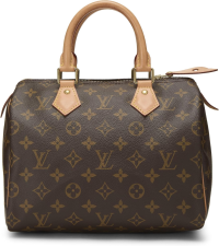 LOUIS VUITTON PRE-LOVED MONOGRAM CANVAS SPEEDY 25, BROWN