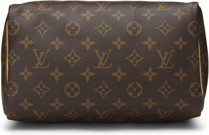 LOUIS VUITTON PRE-LOVED MONOGRAM CANVAS SPEEDY 25, BROWN