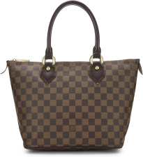 LOUIS VUITTON PRE-LOVED DAMIER EBENE SALEYA PM, BROWN