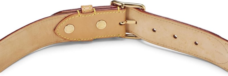 LOUIS VUITTON PRE-LOVED RICHARD PRINCE X LOUIS VUITTON MONOGRAM WATERCOLOR CEINTURE BELT, BROWN