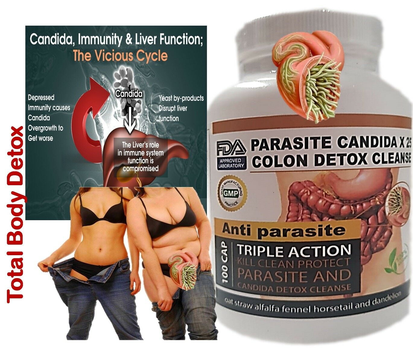 PARADISE REMOVE ULTRA FLASH COLON 100 PARASITE & CANDIDA DETOX BODY CLEANSE