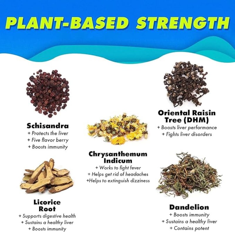 THE PLUG LIVER CLEANSE DETOX REPAIR DRINK PLANT BASED HERBAL ELECTROLYTE LIVER SUPPORT HEALTH BLOATING RELIEF RESTORE ANTIOXIDANTS MINERALS LIVER COMPLEX ENERGY DRINK 24-PACK