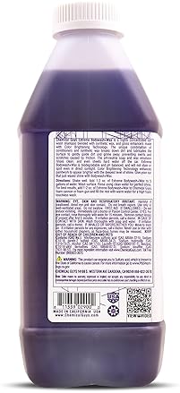 CHEMICAL GUYS EXTREME BODYWASH & WAX CAR WASH SOAP 64 FL OZ GRAPE SCENT - FOAM CANNON, GUN, BUCKET WASH FOR CARS, TRUCKS, MOTORCYCLES, RVS