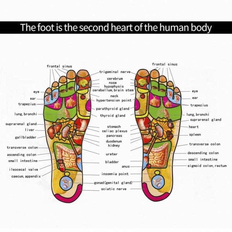 DERCLIVE PORTABLE EMS ELECTRIC FOOT MASSAGER MAT PAD USB LCD RECHARGEABLE - 6 MODES, 9 INTENSITY LEVELS - LEG RESHAPING FOR MEN WOMEN
