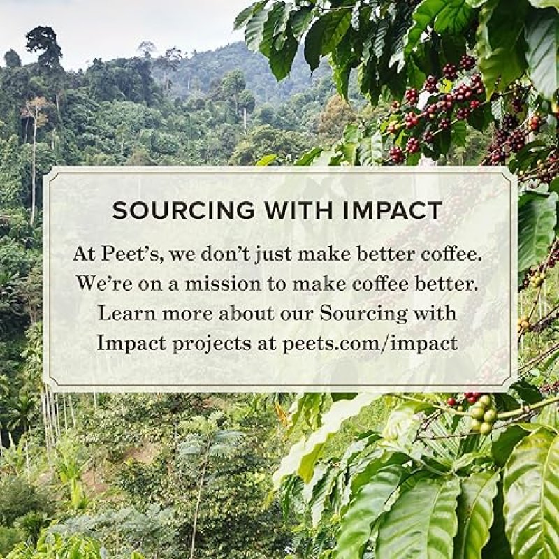 PEET'S COFFEE CARAMEL BRULEE FLAVORED LIGHT ROAST K-CUP PODS - 22 COUNT