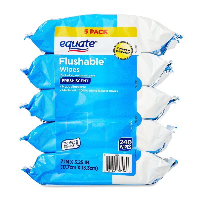 EQUATE FLUSHABLE WIPES, FRESH SCENT, 5 PACKS - 240 TOTAL WIPES