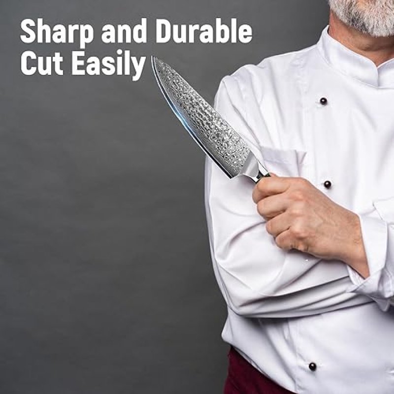 DAMASCUS STEEL CHEF KNIFE, JAPANESE 10CR15MOV BLADE, HAND FORGED HAMMER PATTERN, ABALONE SHELL HANDLE