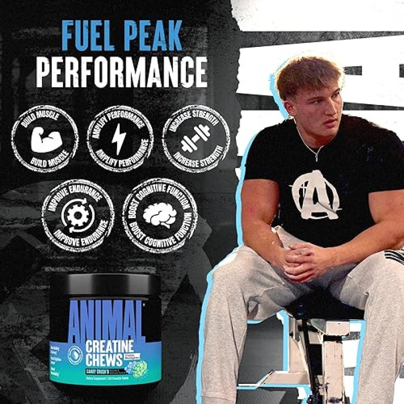 UNIVERSAL NUTRITION ANIMAL CREATINE CHEWS WITH ASTRAGIN & SEA SALT - MAX ABSORPTION PRE/POST-WORKOUT FOR LEAN MUSCLE GROWTH & RECOVERY
