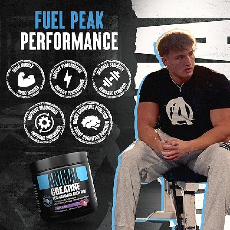 UNIVERSAL NUTRITION ENHANCED ANIMAL CREATINE CHEWS TABLETS - GRAPE FLAVOR, WITH ASTRAGIN & SEA SALT FOR ABSORPTION & PUMP, CHEWABLE & CONVENIENT'