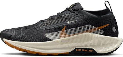 NIKE PEGASUS TRAIL 5 GORE-TEX MEN'S WATERPROOF TRAIL RUNNING SHOES