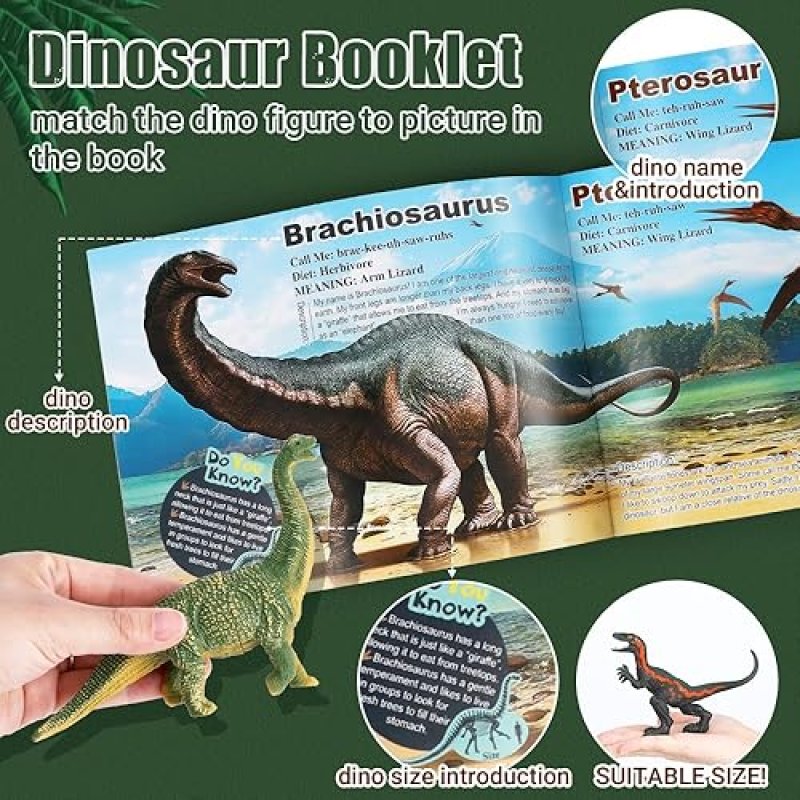 OENUX REALISTIC DINOSAUR TOY SET WITH EDUCATIONAL BOOKLET FOR KIDS AGES 3-5, 12PCS - T-REX, TRICERATOPS, DINO LEARNING TOY - AGES 4-7
