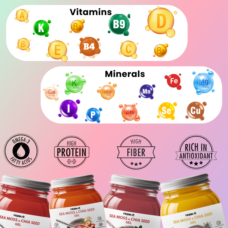 HALEVIT | IRISH SEA MOSS GEL | SEA MOSS, CHIA SEEDS, BERRY, MANGO - PINEAPPLE | PACK OF 2 JARS | MAD
