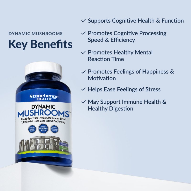 STONEHENGE HEALTH DYNAMIC MUSHROOMS - NOOTROPIC BRAIN & IMMUNE BOOSTER - LION'S MANE, CHAGA, MAITAKE, SHIITAKE, REISHI - 60 CAPSULES