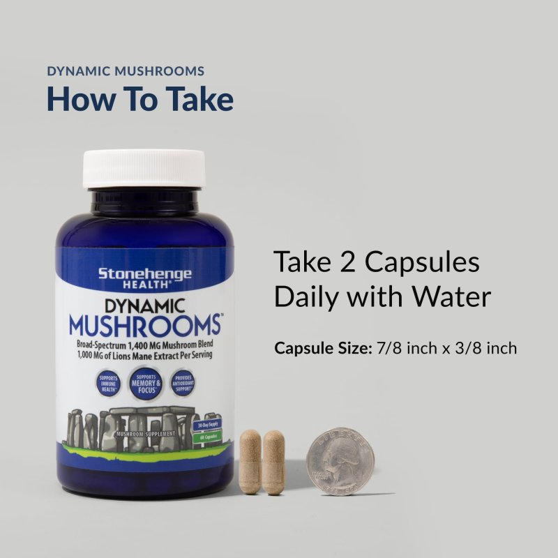 STONEHENGE HEALTH DYNAMIC MUSHROOMS - NOOTROPIC BRAIN & IMMUNE BOOSTER - LION'S MANE, CHAGA, MAITAKE, SHIITAKE, REISHI - 60 CAPSULES